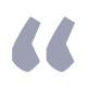 CISO & CRO, IT Services