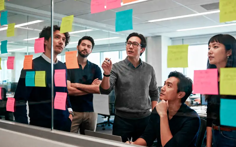Team Collaboration