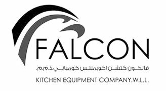 falcon logo-2
